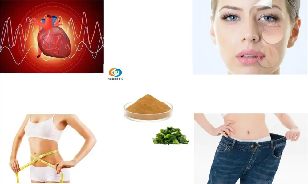 What is fucoxanthin used for?